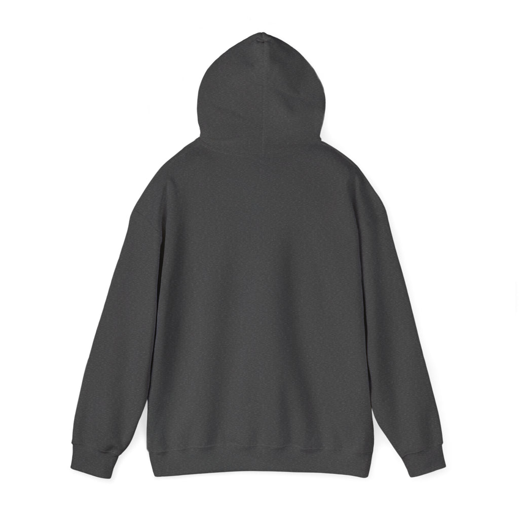 Match Point Tennis Hoodie — 'MATCH POINT' Graphic Pullover